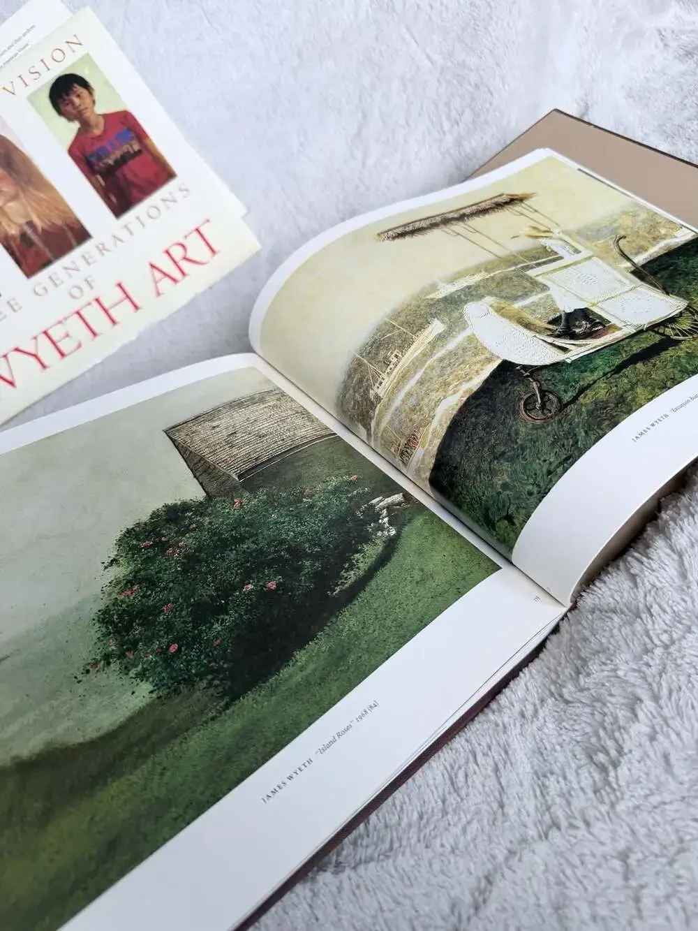An American Vision, 3 Generations of WYETH ART, 1st Edition 1st Print HARDCOVER